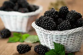 "天然的能量补给：桑葚助您保持活力满满"(一)图片