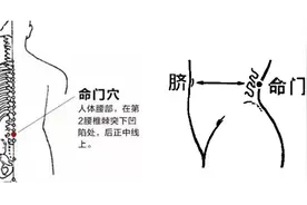 一个穴位，轻松缓解腰腿痛！每日一按，通阳止痛图片