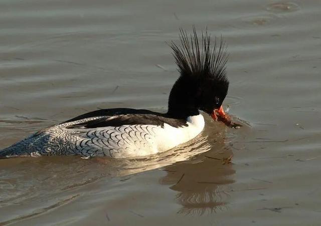 冰天雪地里的精神之旅！穿行敦化红色廊道，每一站都藏着惊喜