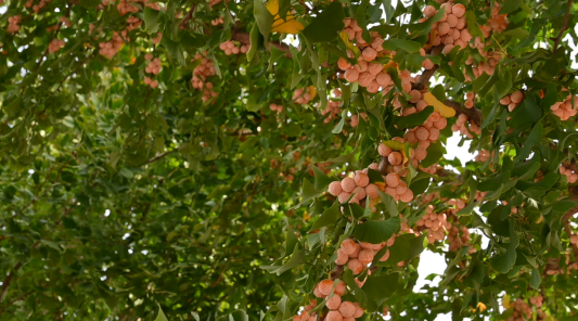 注意！“天才画家”正在肥城市高新区执笔挥毫！惊喜呈现！