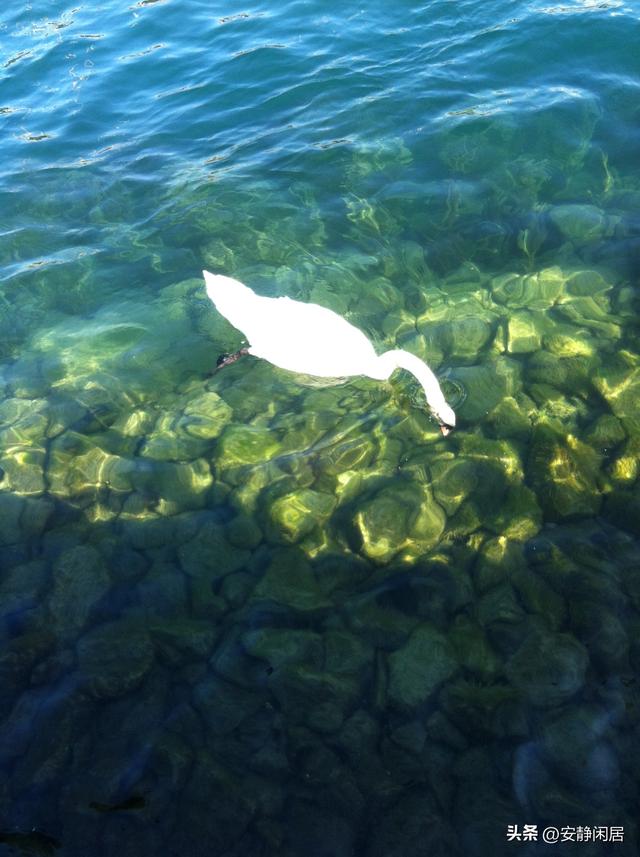 我喜欢琉森，多少次寻找喜欢琉森的理由，也许答案在此