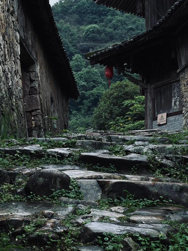 邂逅600年浙南古村！夏日闯入“碗窑”，寻得清凉避世仙境