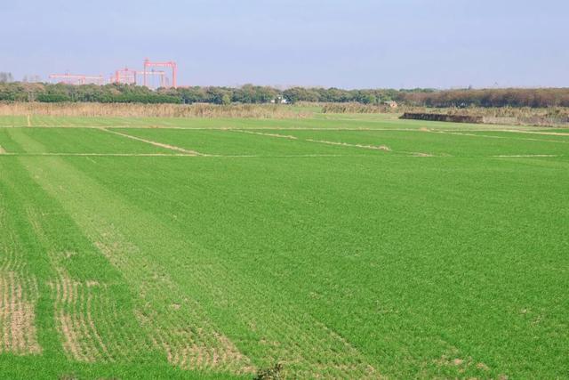 丹徒这几条路，真不想让太多人知道！