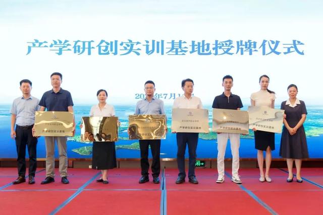 放大招！9个农文旅项目集中签约黄陂