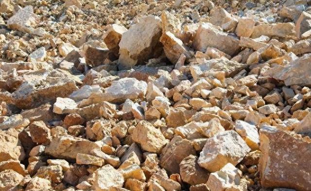 特朗普向全球发出通牒：180天内必须对中国动手，不配合就加税