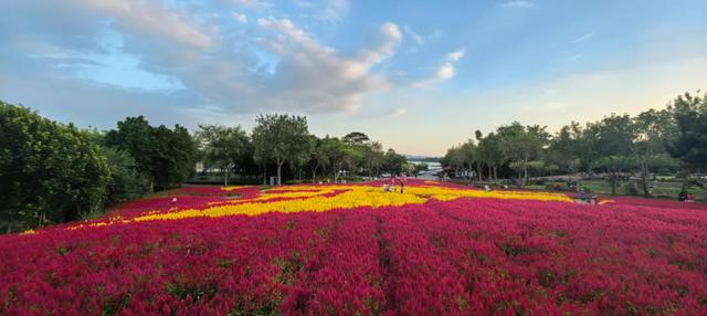 至10月8日！大型夜游灯会、花海市集博饼……就在厦门→