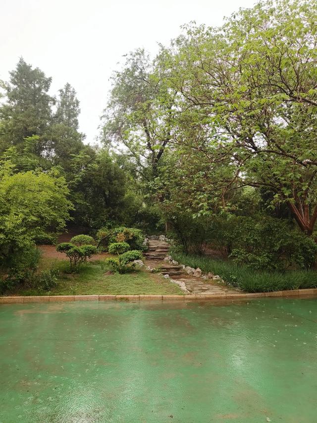 天津雨中的《红光公园》