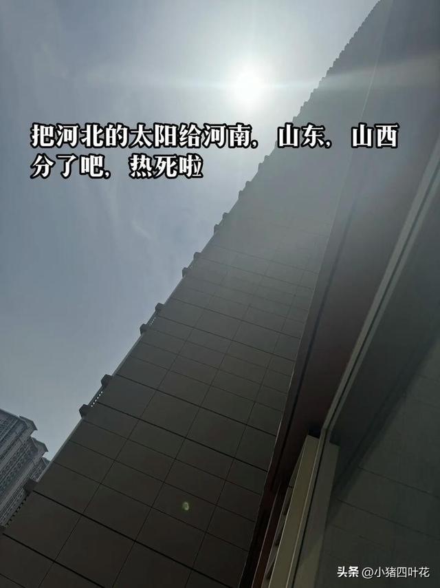 山东没想到，河北也没想到，现在的河南，怎么突然这么火了！