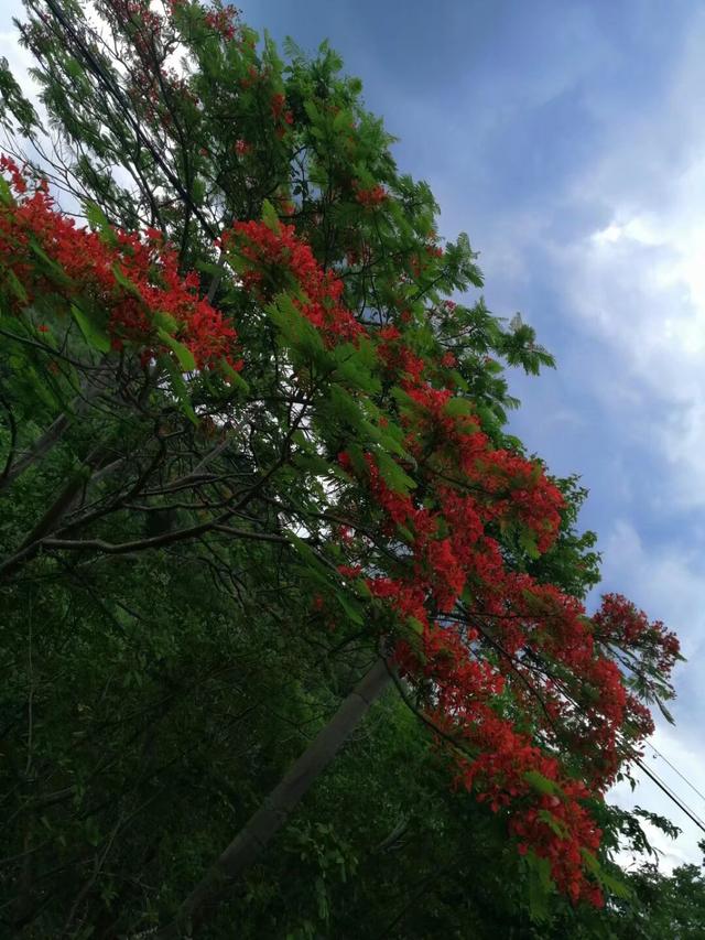 疫情下的海南初遇：被陌生美女的热情暖到泪目！