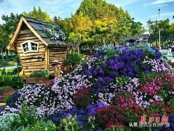 武汉地标纷纷“入景”金秋菊展