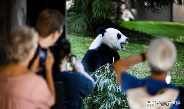 难怪马克龙笑开花，刚一落地北京	，中方高规格礼遇面子拉满