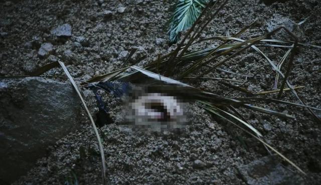 给近三年最好的10部刑侦剧排个名：《我是刑警》第5，《狂飙》第3