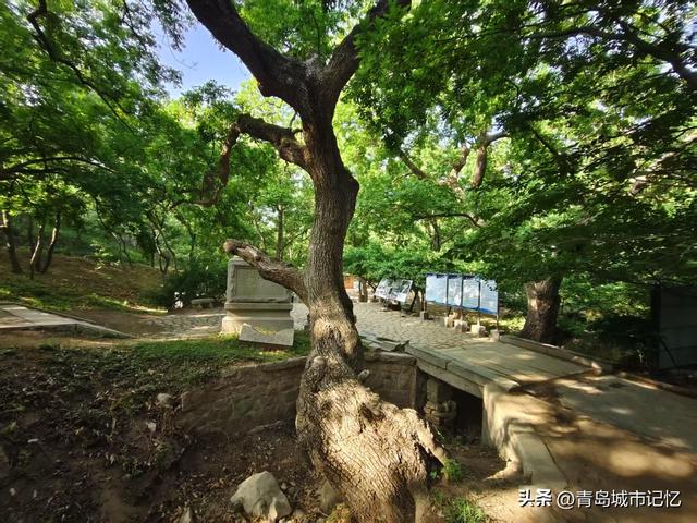 六百年历史的浮山荒草庵开始重修，曾被德国侵略者誉为最美的景点