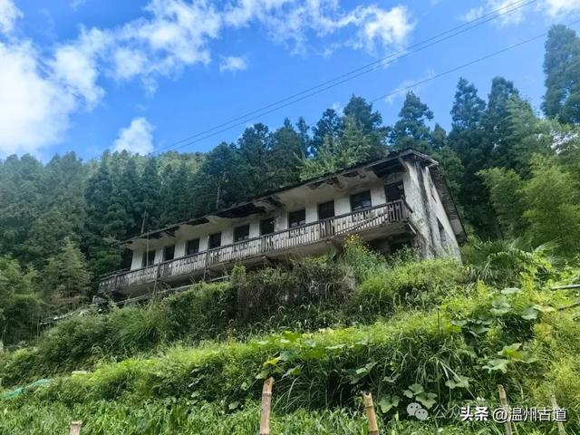 这个凭借21℃的天然清凉悄然“出圈”的森林小镇，别具异域风情！