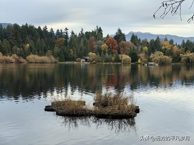 温哥华游记（一）
