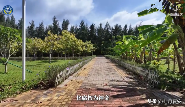 美济岛出现首个湿地公园，希望早日成为国内游客的南沙打卡地
