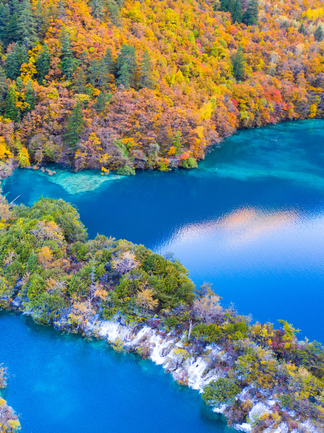 九寨沟十一月的开场，是落叶纷飞染透山川，是彩林叠翠映雪山