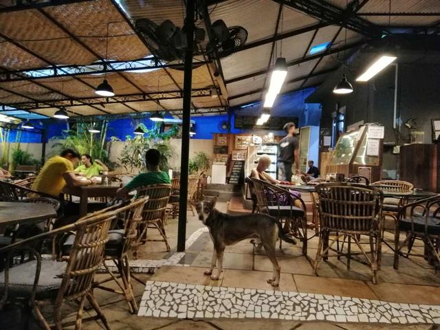 探访南印度果阿，最不像印度的印度城市