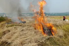 日本间谍潜伏央媒30年，破坏农业，伤透人心，快退休时才落网图片