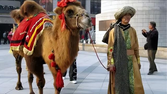 从带把杯到克孜尔石窟：神秘消失的古城，重见天日！