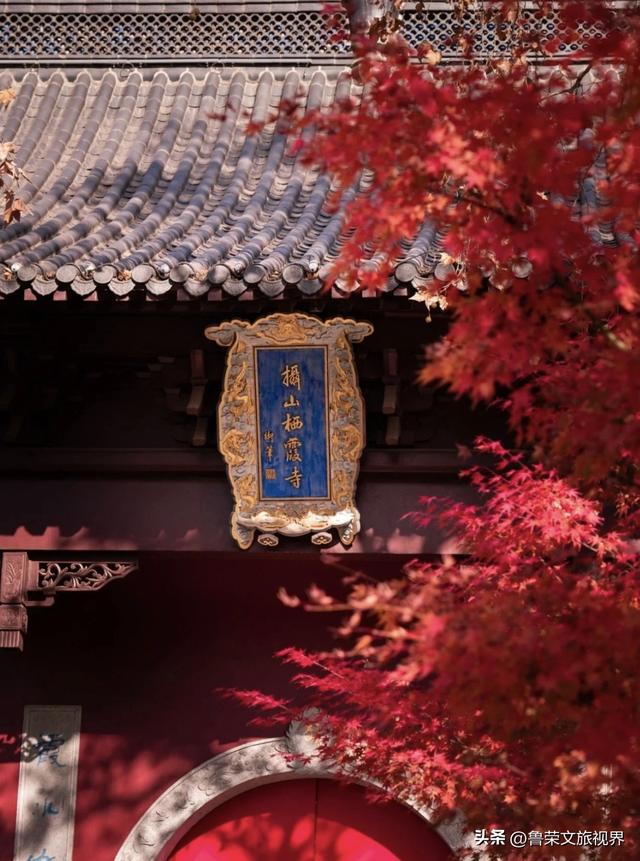 金陵秋韵浓，烟火味悠长——南京秋日逛吃全攻略