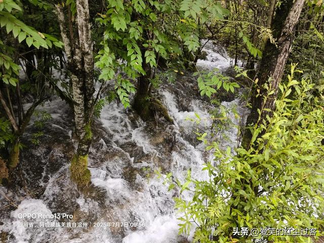 我的旅行日记——重游九寨沟
