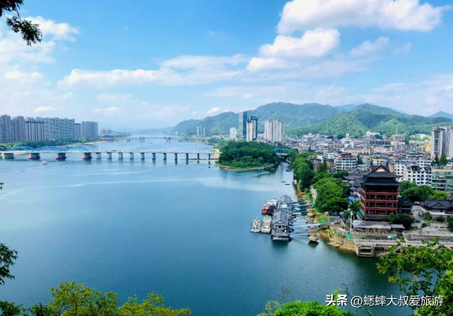 被杭州“药祖圣地”迷住了，一到晚上美如仙境，关键还能免费游！