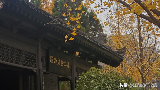 西安曲江富人区墓景房，地下埋着秦二世，地上是银杏林和博物馆