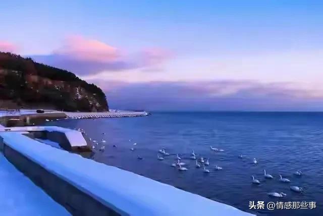 两性关系：60岁女人的大实话，男人过了65岁，只剩下一个“用处”