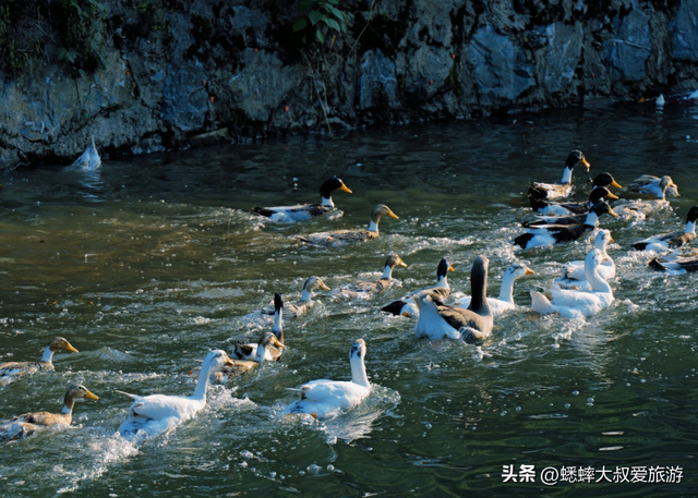 是时候来一趟杭州“避世”景点了，抽个双休，来骑行欣赏星空吧！