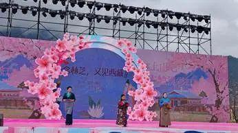 退役女兵林芝徒步，重温第二故乡情。藏汉同台演出，温情脉脉…