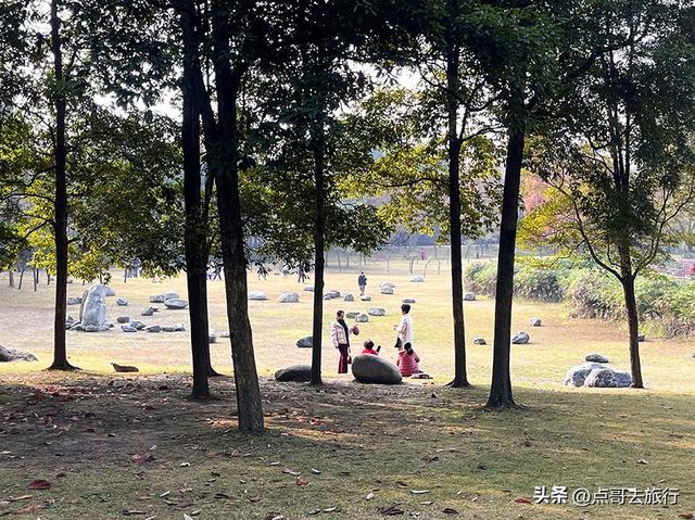 成都城市中的草原牧场，彩林比阿勒泰还美，公交车地铁直达！