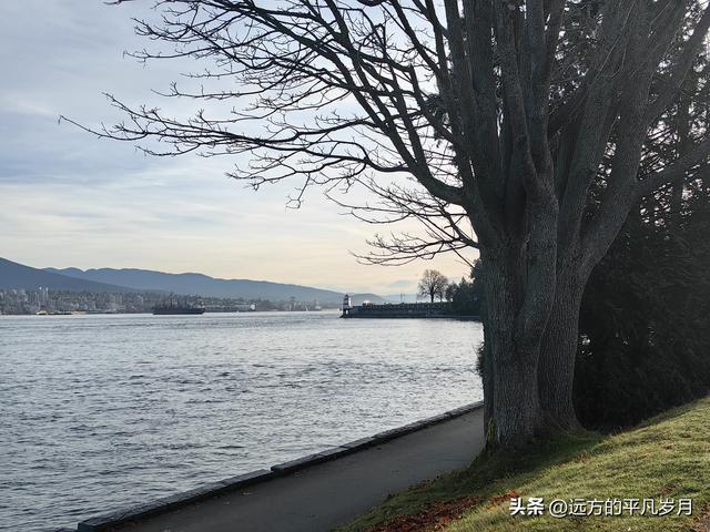 温哥华游记（四）