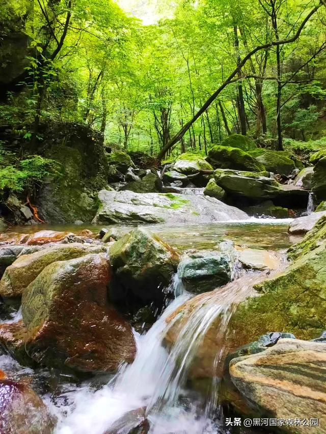 周末2h自驾消暑游,在黑河开启夏日清凉模式!