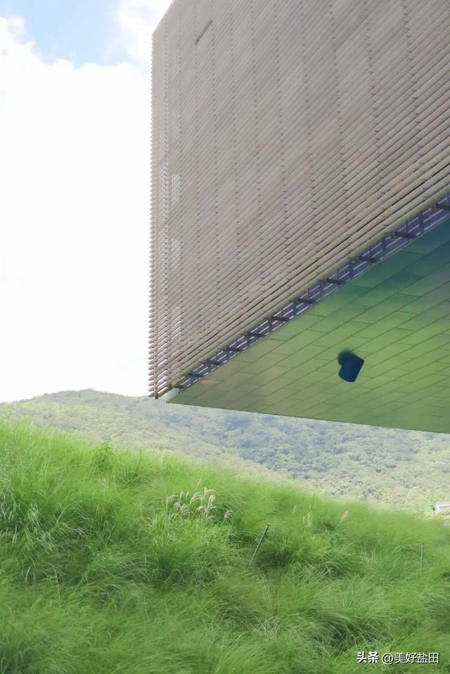 在盐田看海上运动，还能这样玩！