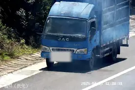 货车行驶高速途中起火 多位驾驶员主动协助救援脱困图片