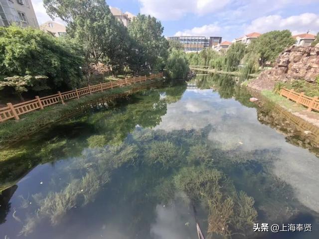 漫步河畔•贤美生活