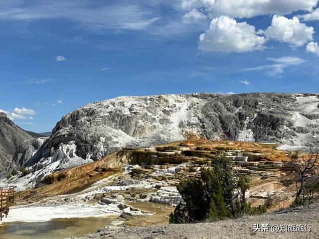 2025环球知旅——美西十三日（黄石公园5.10）