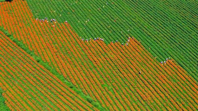 腾冲2026年度文旅活动主题发布，月月有惊喜！