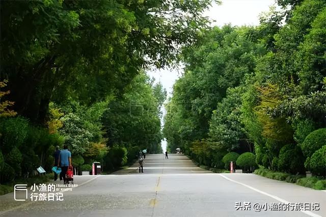 西安闹市有座“蓬莱岛”，曾是皇帝赏景胜地，如今依然仙气飘飘