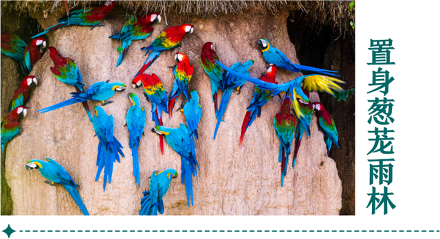 地理冷知识—2026全球最佳旅游地