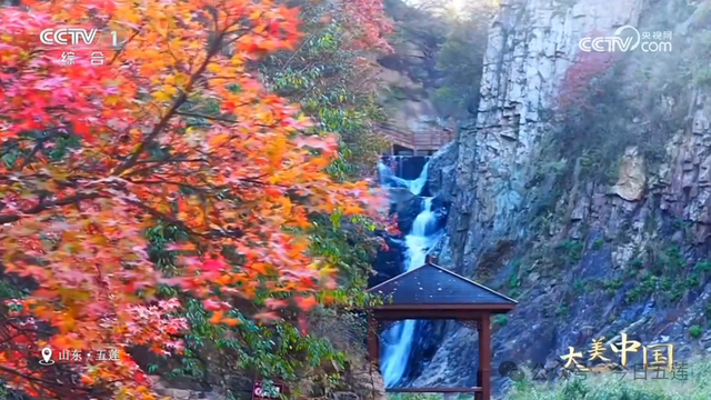 五莲上央视了！