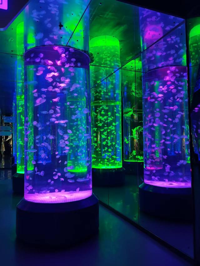 成都 极地海洋公园（58）2025年10月16日