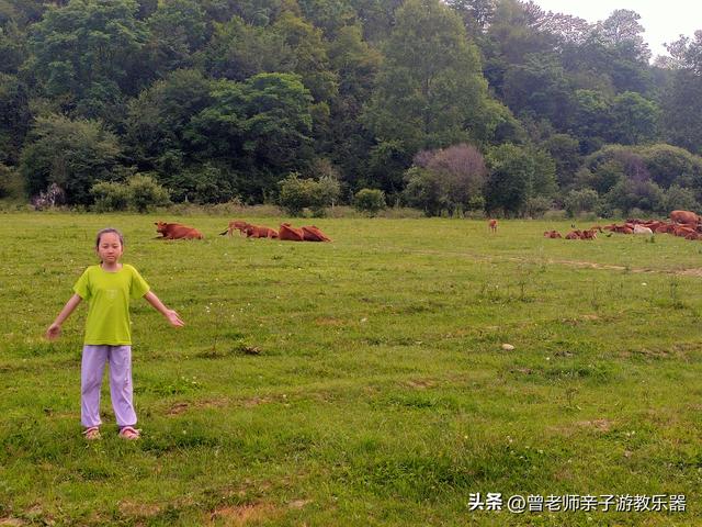 西安黑河森林公园，周至老县城游玩心得真实体验