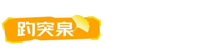 山东:时至初冬,银杏正当时