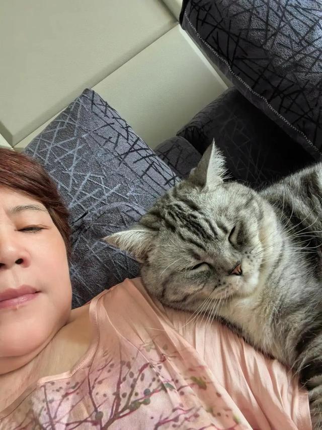笑死了！主人展示25斤布偶猫引热议，网友：我这19斤的再加加餐？