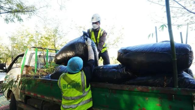 硚口区“就地取材”激活小微空间 育苗基地变身“森系”游园 市中心就能畅快体验:森林溯溪 + 露营 + RC越野