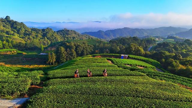 盘点我去过浙江泰顺的五个绝美地，比国外还美，知道的游客却很少