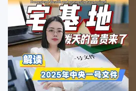 宅基地，泼天的富贵来了！解读2025年中央一号文件！图片