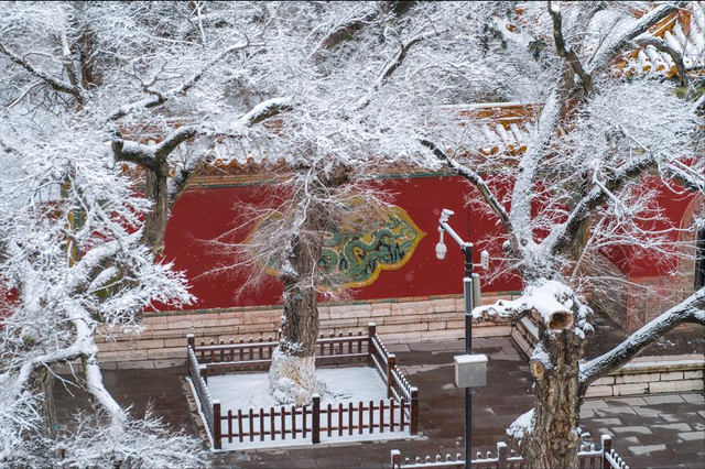 “冬至在头，冻死老牛；冬至在尾，单衣过冬”，今年冬至在哪儿？